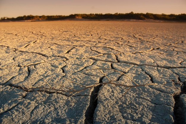 Gebroken grond in Pampas-omgeving Patagonië Argentinië