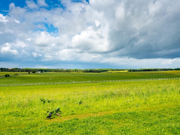 Gebruikelijke weergave van landelijk veld en bewolkte hemel in Engeland in de buurt van Stonehenge Salisbury