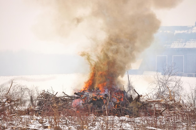 Foto gecontroleerde verbranding op een boerderij om meer landbouwgrond te creëren