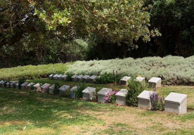 Gedenksteen bij Anzac Cove Gallipoli