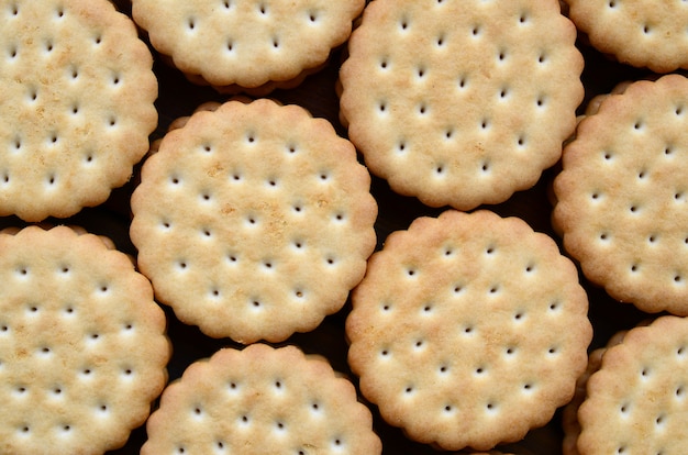 Gedetailleerd beeld van ronde sandwichkoekjes met kokosnotenvulling