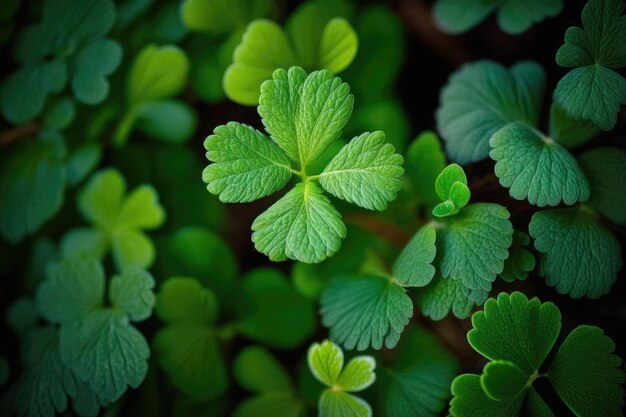 Gedetailleerde close-up van een groene bladplant met zichtbare aderen en textuur Generatieve AI