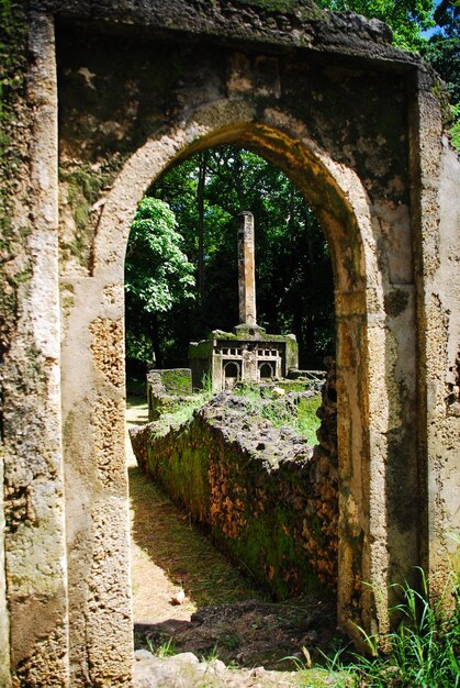 Photo gedi ruins kenya