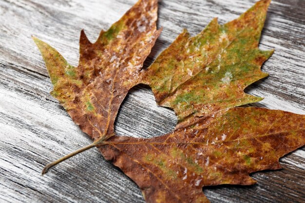 Foto gedroogd herfstblad met uitgeknipt hart op houten achtergrond