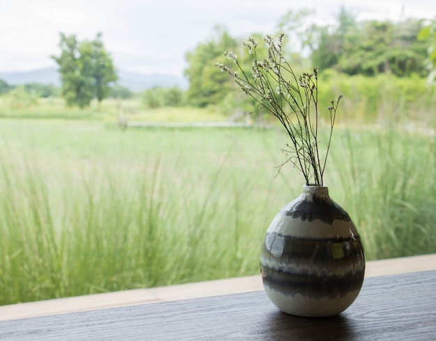 Foto gedroogde bloemen in potten.