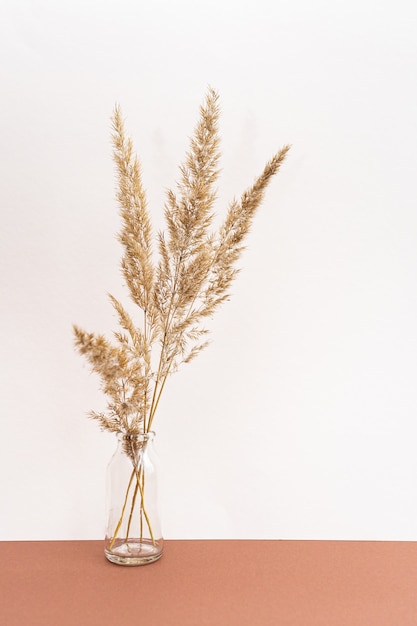 Gedroogde bloemen in vazen op een lichtroze en bruine ondergrond.