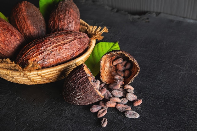 Gedroogde cacao en cacaobonen