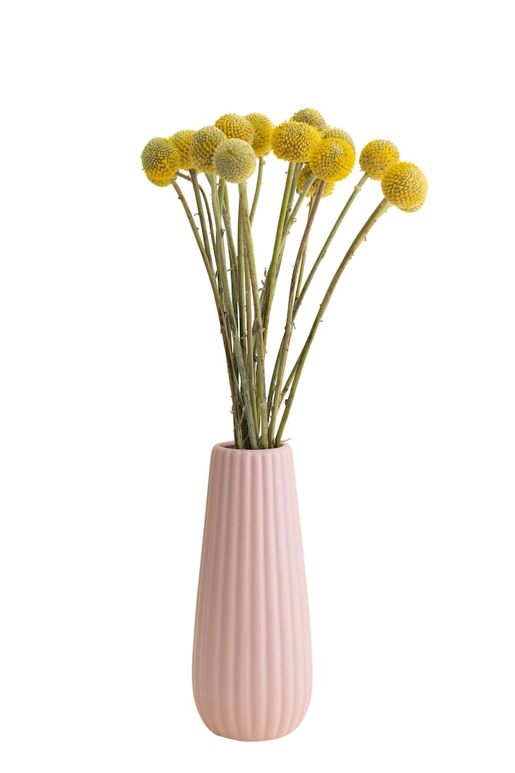 Foto gedroogde craspedia bloem in een roze vaas ontwerp element