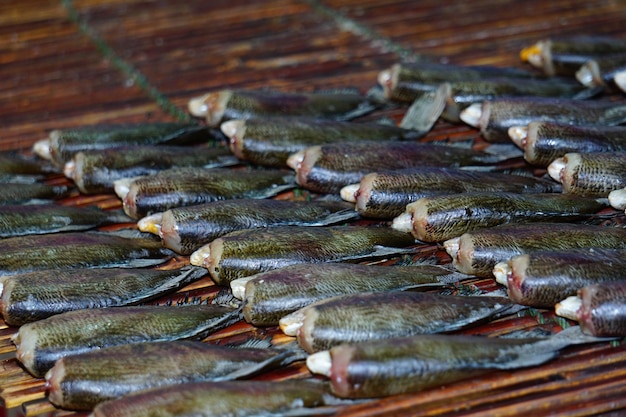 Gedroogde gezouten slangenleergourami kan worden gebruikt om een verscheidenheid aan gerechten te bereiden