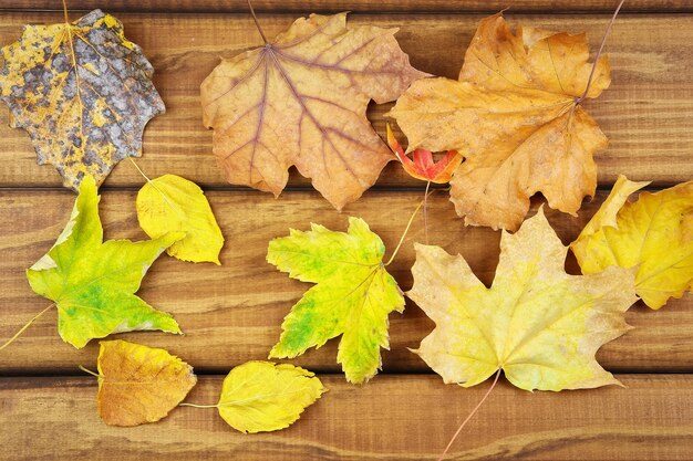 Gedroogde herfstbladeren op tafel. Herfst achtergrond