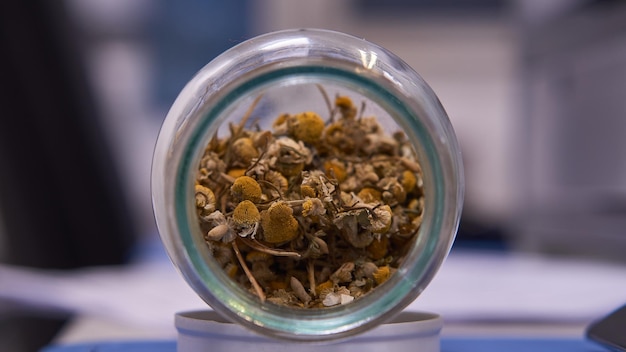 Gedroogde kamillebloemen in een doorzichtige glazen pot