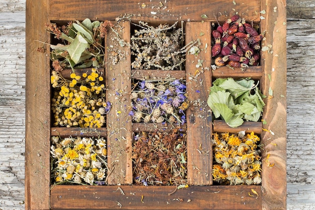 Gedroogde medicinale plant in een oude houten kist
