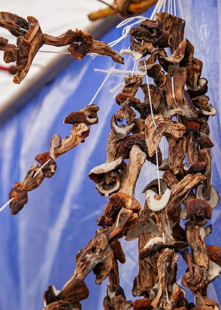 Gedroogde paddenstoelen aan een touw hangen op een landelijke kermis.