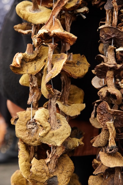 Gedroogde paddenstoelen die aan een touwtje hangen