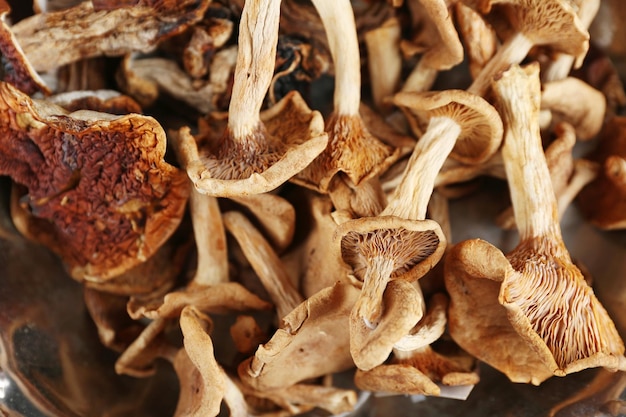 Foto gedroogde paddestoelen close-up