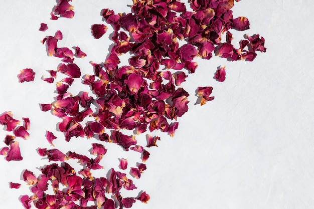 Gedroogde rozenblaadjes op lichte gestructureerde achtergrond Selectieve focus kopieerruimte Paarse roze bloemen