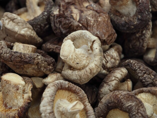 Gedroogde Shiitake paddenstoelen
