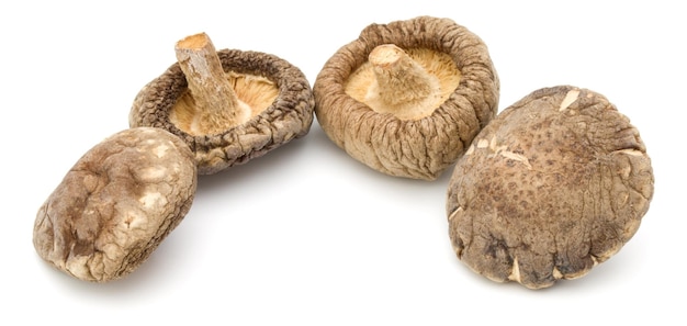 Gedroogde Shiitake-paddestoel geïsoleerd op witte achtergrond.