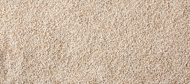 Gedroogde witte quinoa zaden achtergrond