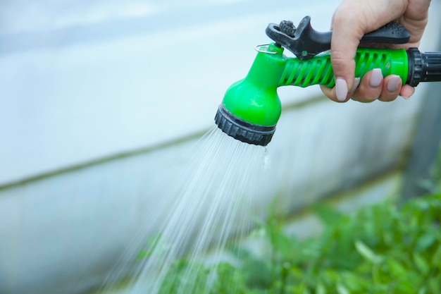 Geef de planten water onder de douche