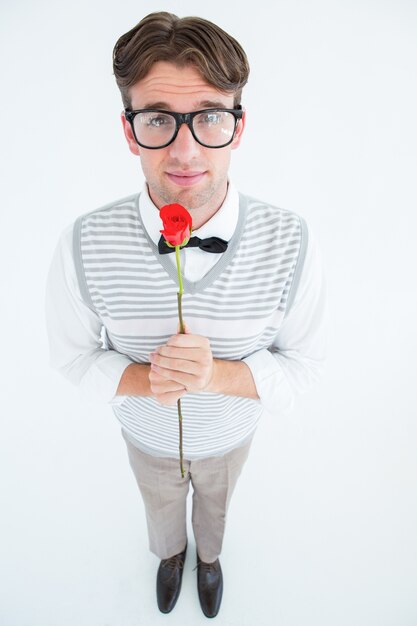 Geeky hipster holding a red rose