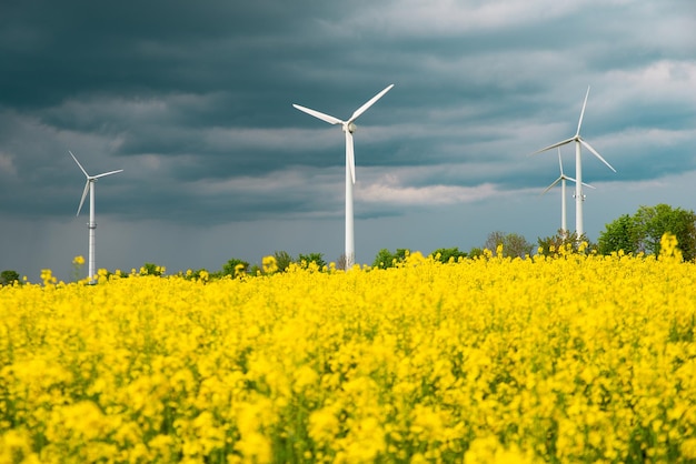 Geel bloeiend rapveld met windmolens, landbouw en platteland met hernieuwbare duurzame energie