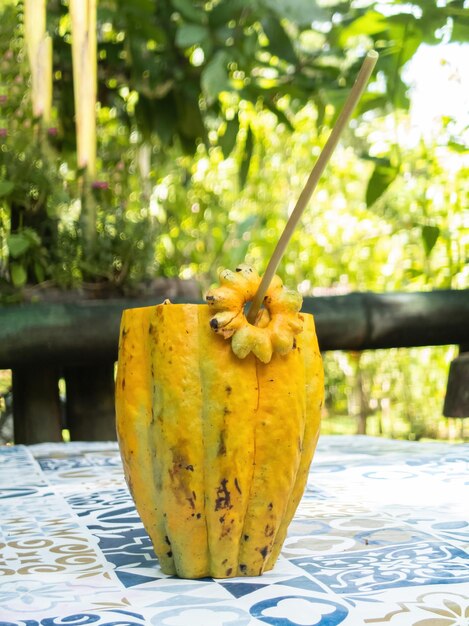 Geel cacaofruit dat als tropisch concept van een drinkbeker wordt gebruikt