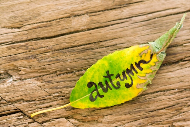 Foto geel en groen blad met de inscriptie herfst op de oude houten achtergrond met scheuren
