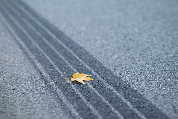 Geel esdoornblad op asfalt en de bandenspoor na noodremmen close-up Symbool van vaak auto-ongelukken in de herfst vanwege slecht weer en zicht op de wegen