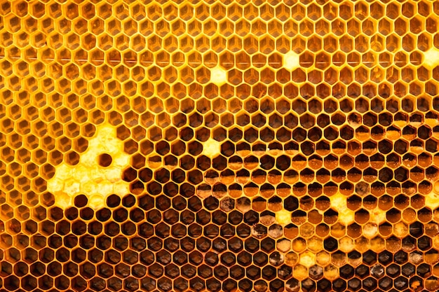 Geel gedeeltelijk verpakt honingkader Natuurlijke achtergrond of textuur
