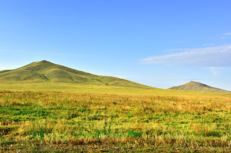 Geel gras aan de voet van de kegelvormige heuvels in de zomer onder een blauwe hemel. Siberië, Rusland