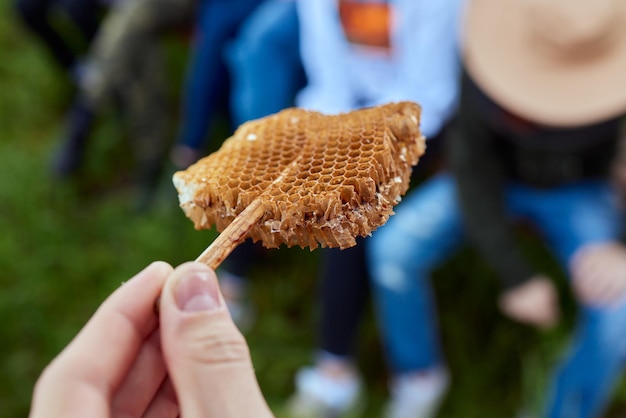 Geel Honingraatplakje Honingcelplakje Kom met verse honingraten en honing