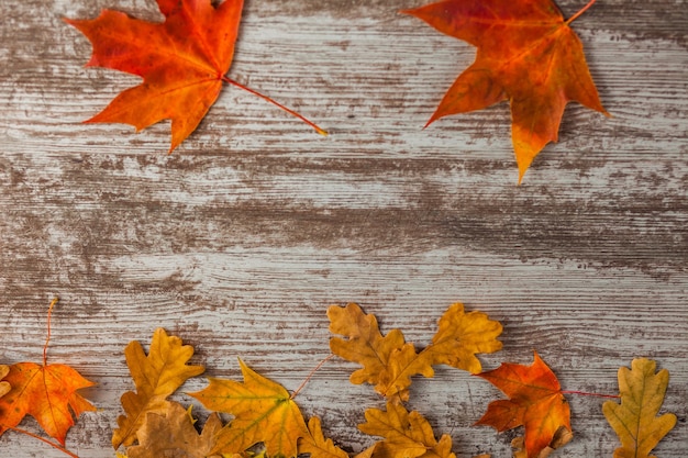 Geel rood eiken esdoorn herfstbladeren. Op houten ondergrond. Textuur