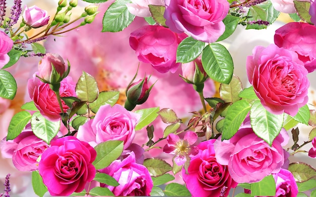 geel roze rozen maar blauwe lucht natuur achtergrond sjabloon kopie ruimte banner groet bloemen