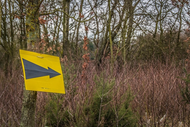 Geel verkeersbord tegen bomen