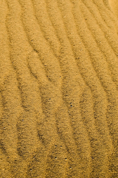 Geel zand woestijnduinenDroogte en droog klimaatMarsoppervlakClose-up