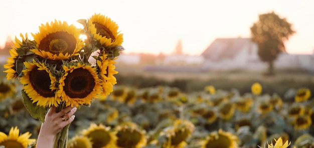 Geel zonnebloemveld close-up in landelijk gebied wazige achtergrond