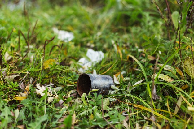 Geen afval garbage collection en landhuis wonen. maak de planeet schoon