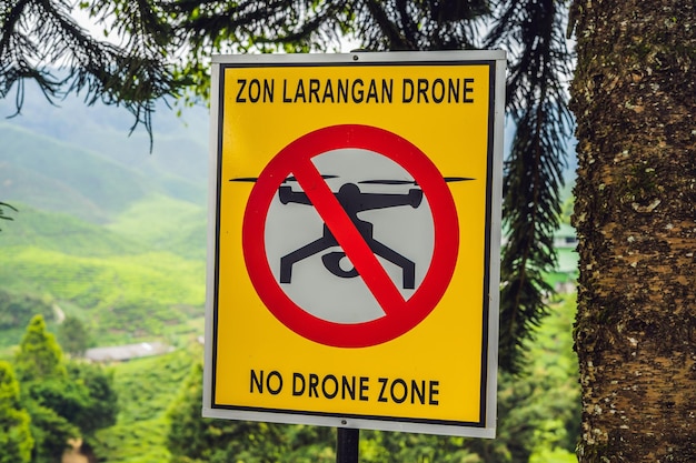 Geen drone-zonebord in Maleisië tegen theeplantage