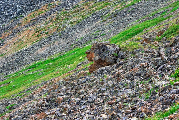 Geesten van de bergen. Natuurlijk eng stenen hoofdprofiel. Stenen afgoden, mystieke geesten van de bergen opgesloten in steen. Mystieke Altai-gebergte. Demon in de steen.