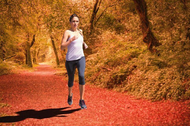 Gefocuste fitte blonde joggen tegen een rustige herfstscène in het bos