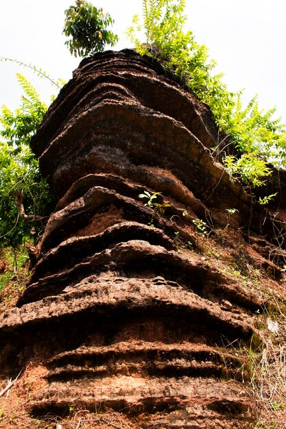 Gefossiliseerde stromatolietsteen of fossiele stromatolietrots in geologisch erfgoed van Satun UNESCO Global Geopark voor Thaise mensen en buitenlandse reizigers, reisbezoek en leer onderwijs in Satun Thailand