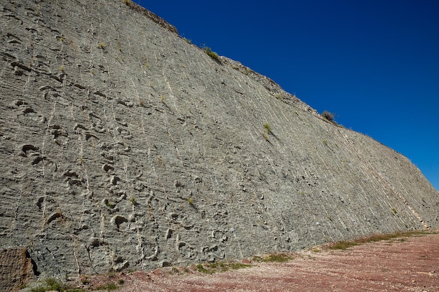 Gefossiliseerde voetafdrukken van oude reptielen op een rots in het Dinosaur Park in Sucre Bolivia