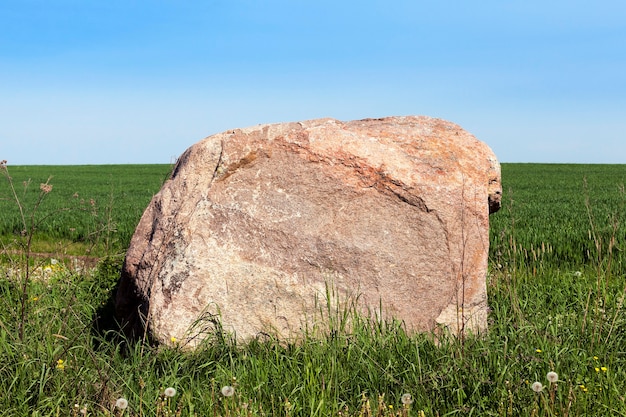 Gefotografeerde close-upsteen die in het groene gras ligt