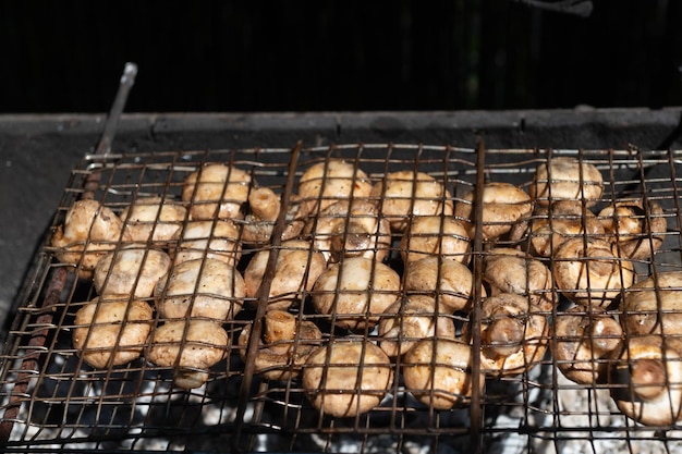 Gegrilde groenten op de grill Champignons en champignons worden gebakken op kolen