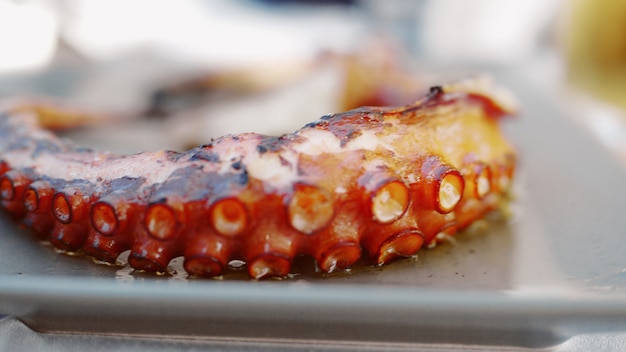 Gegrilde octopus op het gerecht