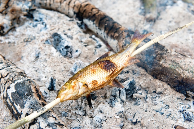 Gegrilde vis met stok op het vuur