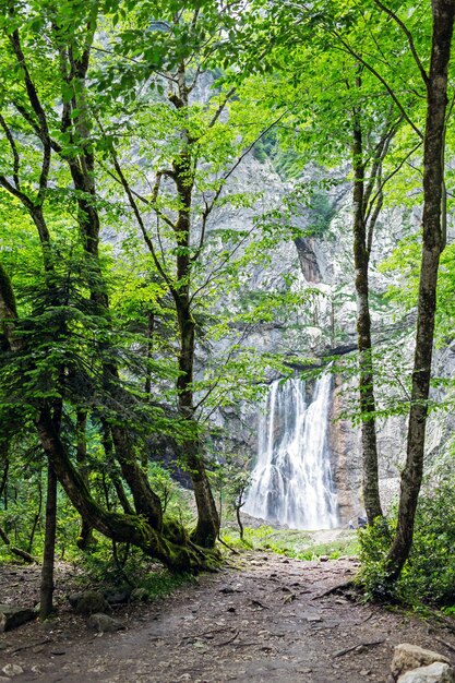 Gegsky waterfall in the forest, Abkhazia