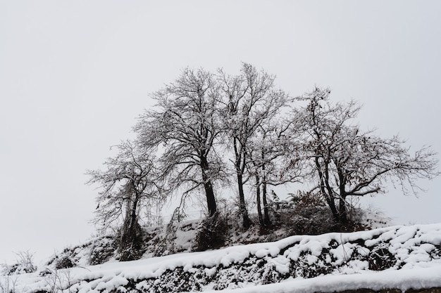 Geheel wit landschap bedekt met sneeuw en mist in Noord-Italië.