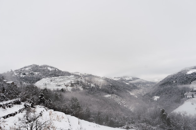 Geheel wit landschap bedekt met sneeuw en mist in Noord-Italië.